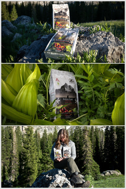 Medium Roast Colombian Coffee Ground | Cocuy Coffee