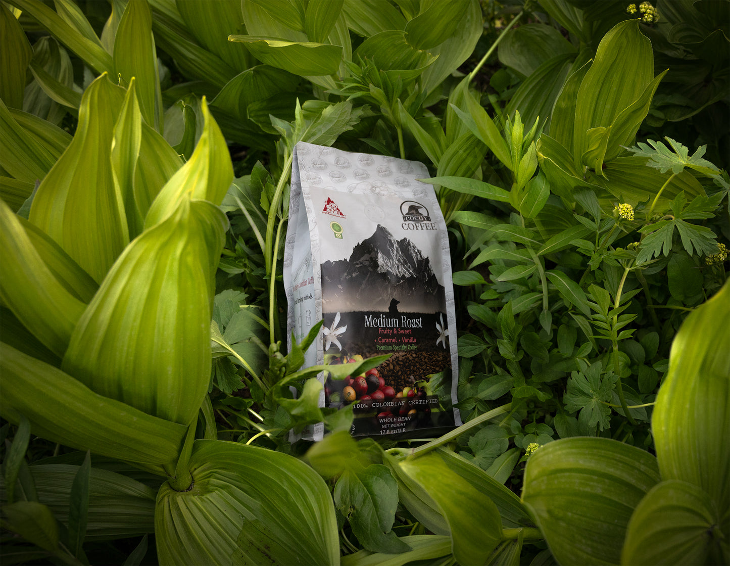 Medium Roast Colombian Coffee Ground | Cocuy Coffee